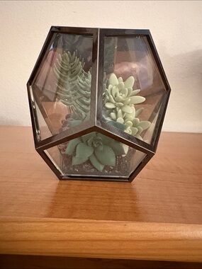 Bath & Body Works Geometric Glass Terrarium with Succulents Wallflower Plug